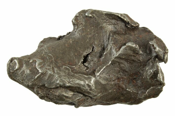 Sikhote-Alin Iron Meteorite ( g) - Russia #243168